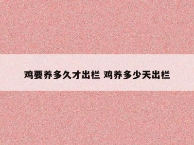 鸡要养多久才出栏 鸡养多少天出栏