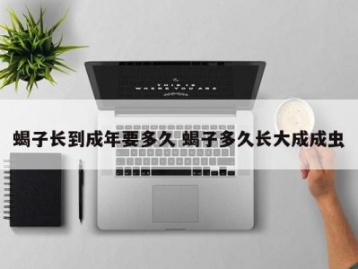 蝎子长到成年要多久 蝎子多久长大成成虫