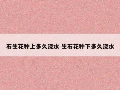 石生花种上多久浇水 生石花种下多久浇水