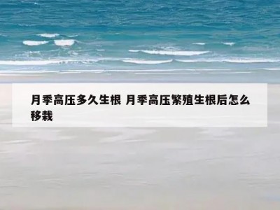 月季高压多久生根 月季高压繁殖生根后怎么移栽