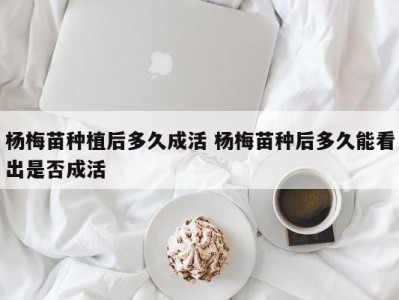 杨梅苗种植后多久成活 杨梅苗种后多久能看出是否成活
