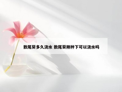 散尾葵多久浇水 散尾葵刚种下可以浇水吗