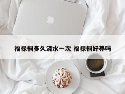 福禄桐多久浇水一次 福禄桐好养吗
