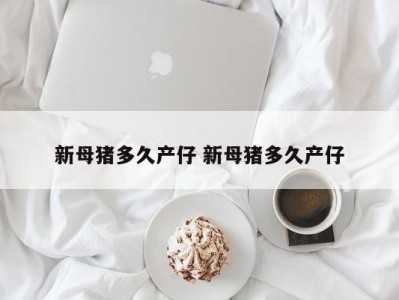 新母猪多久产仔 新母猪多久产仔