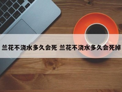 兰花不浇水多久会死 兰花不浇水多久会死掉