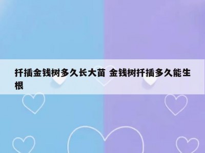 扦插金钱树多久长大苗 金钱树扦插多久能生根