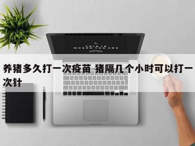 养猪多久打一次疫苗 猪隔几个小时可以打一次针
