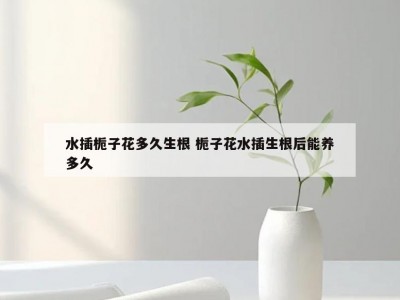 水插栀子花多久生根 栀子花水插生根后能养多久