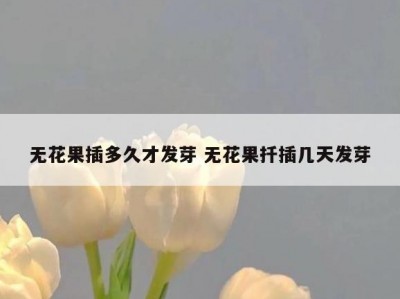 无花果插多久才发芽 无花果扦插几天发芽