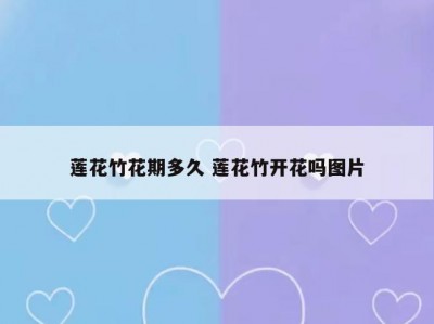 莲花竹花期多久 莲花竹开花吗图片