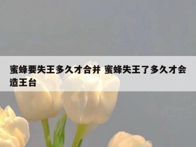 蜜蜂要失王多久才合并 蜜蜂失王了多久才会造王台