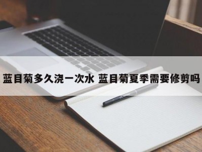 蓝目菊多久浇一次水 蓝目菊夏季需要修剪吗