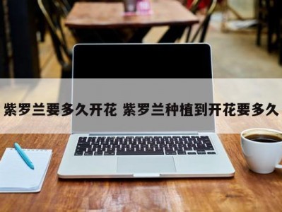 紫罗兰要多久开花 紫罗兰种植到开花要多久