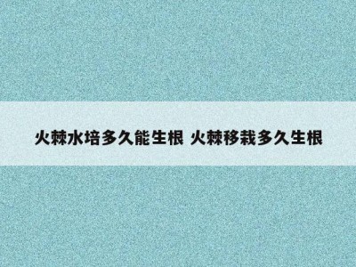 火棘水培多久能生根 火棘移栽多久生根
