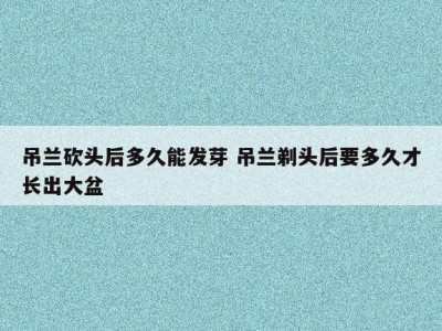 吊兰砍头后多久能发芽 吊兰剃头后要多久才长出大盆