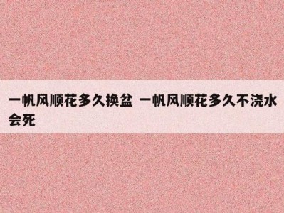 一帆风顺花多久换盆 一帆风顺花多久不浇水会死