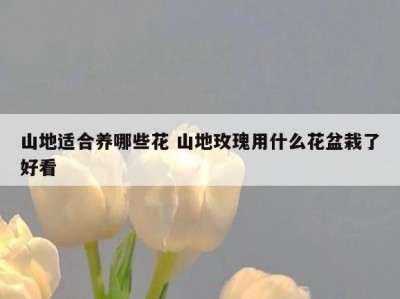 山地适合养哪些花 山地玫瑰用什么花盆栽了好看