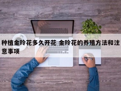 种植金玲花多久开花 金玲花的养殖方法和注意事项