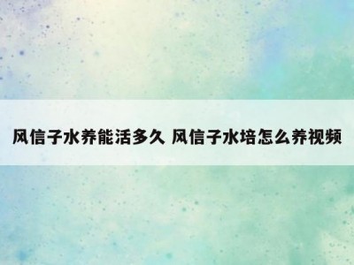 风信子水养能活多久 风信子水培怎么养视频
