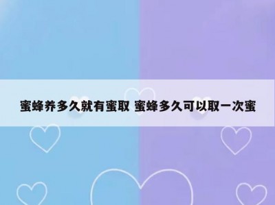 蜜蜂养多久就有蜜取 蜜蜂多久可以取一次蜜