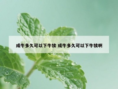 成牛多久可以下牛犊 成牛多久可以下牛犊啊