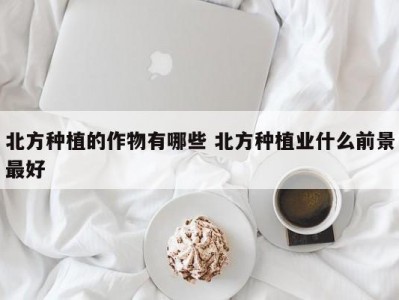 北方种植的作物有哪些 北方种植业什么前景最好