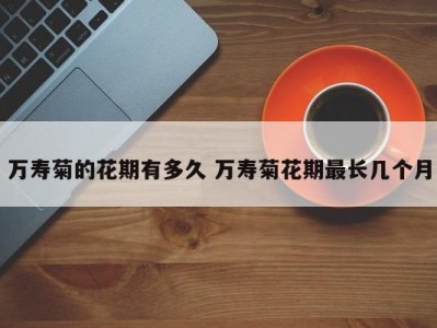 万寿菊的花期有多久 万寿菊花期最长几个月