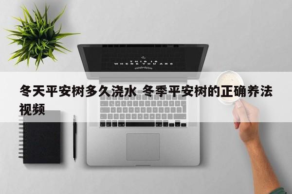 冬天平安树多久浇水 冬季平安树的正确养法视频