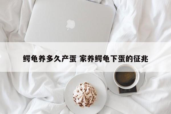 鳄龟养多久产蛋 家养鳄龟下蛋的征兆