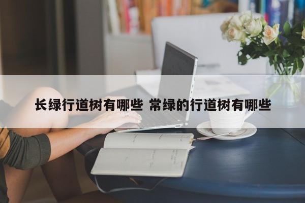 长绿行道树有哪些 常绿的行道树有哪些