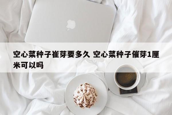 空心菜种子崔芽要多久 空心菜种子催芽1厘米可以吗