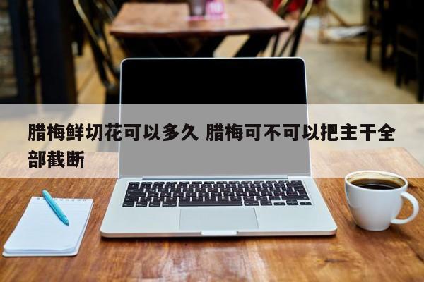 腊梅鲜切花可以多久 腊梅可不可以把主干全部截断