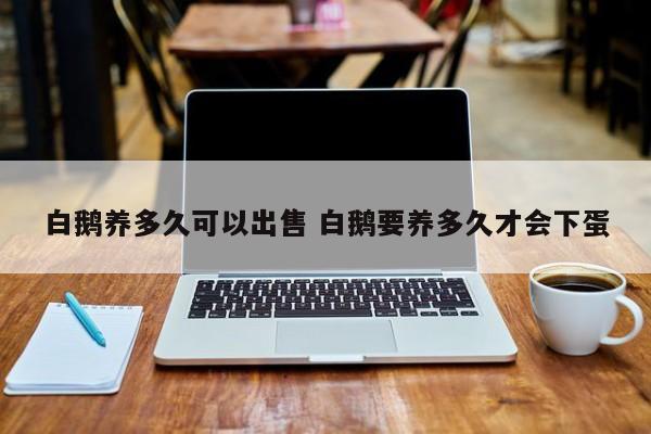 白鹅养多久可以出售 白鹅要养多久才会下蛋