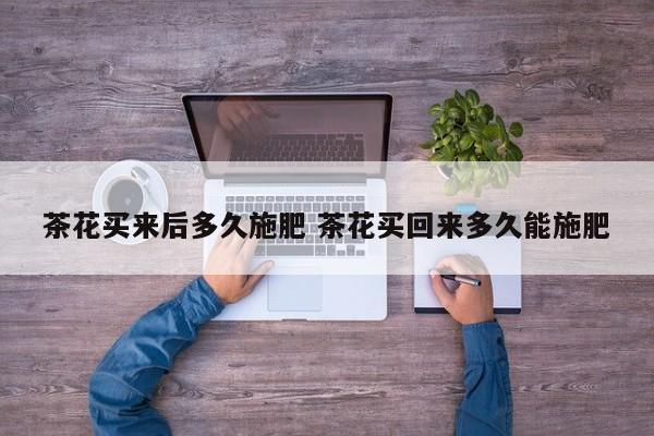 茶花买来后多久施肥 茶花买回来多久能施肥