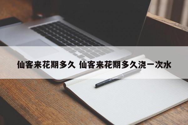 仙客来花期多久 仙客来花期多久浇一次水