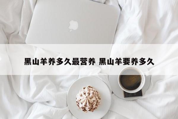 黑山羊养多久最营养 黑山羊要养多久