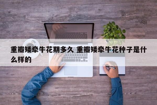 重瓣矮牵牛花期多久 重瓣矮牵牛花种子是什么样的