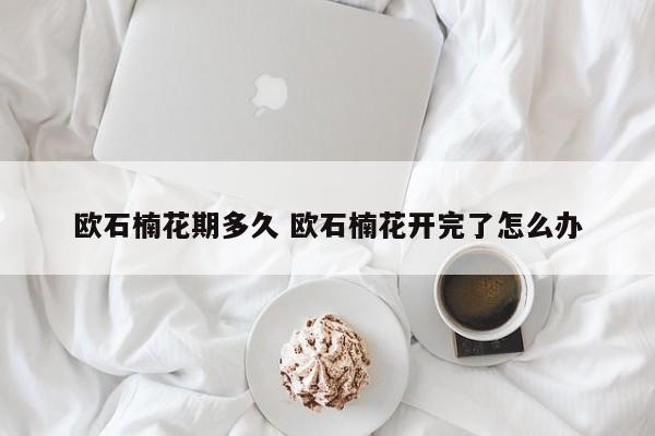 欧石楠花期多久 欧石楠花开完了怎么办