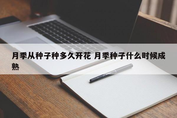 月季从种子种多久开花 月季种子什么时候成熟
