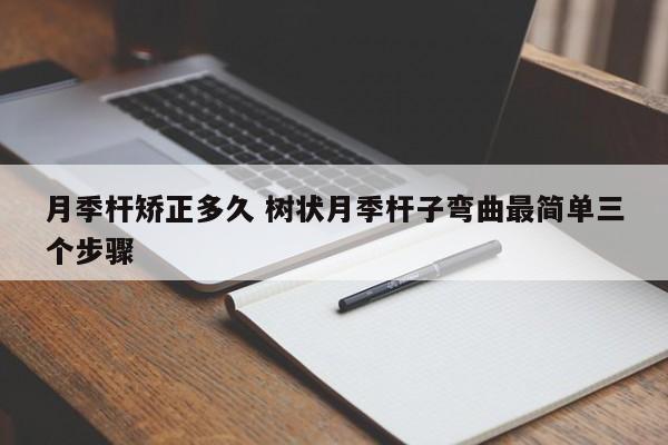 月季杆矫正多久 树状月季杆子弯曲最简单三个步骤