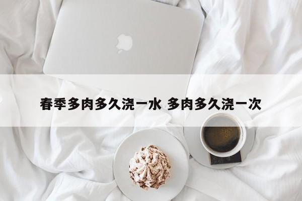 春季多肉多久浇一水 多肉多久浇一次