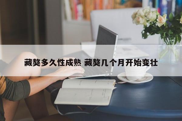 藏獒多久性成熟 藏獒几个月开始变壮