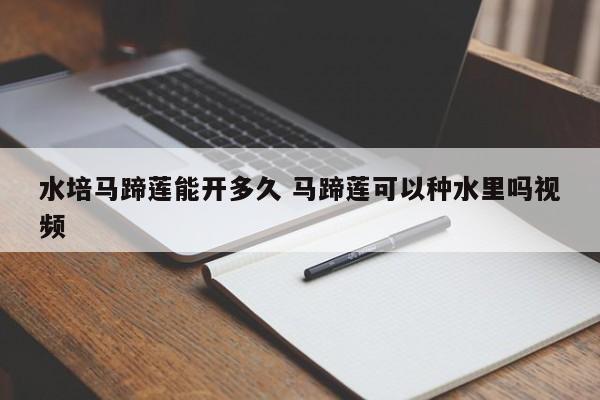 水培马蹄莲能开多久 马蹄莲可以种水里吗视频
