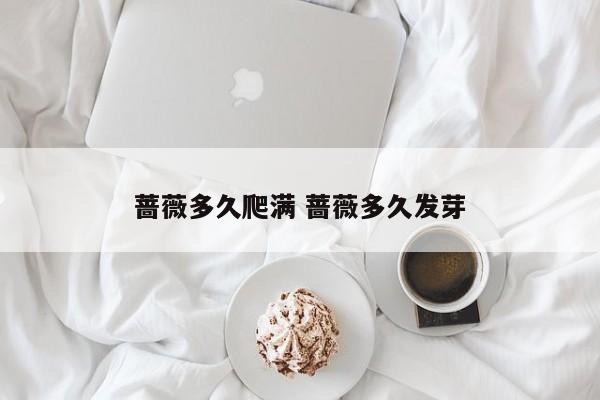 蔷薇多久爬满 蔷薇多久发芽