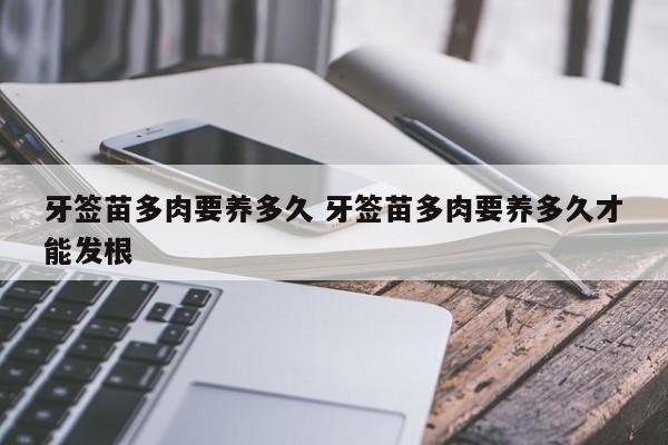 牙签苗多肉要养多久 牙签苗多肉要养多久才能发根