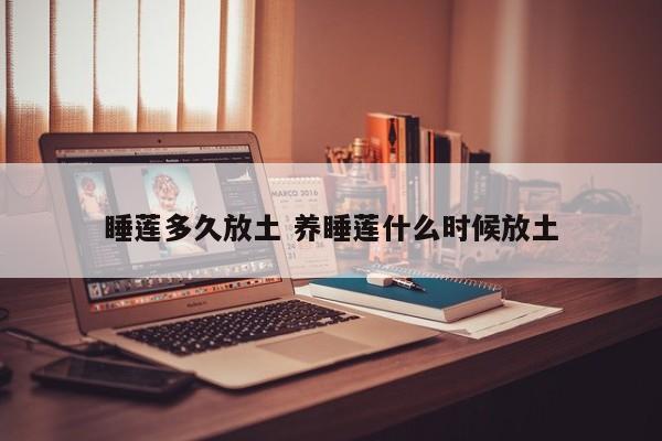 睡莲多久放土 养睡莲什么时候放土