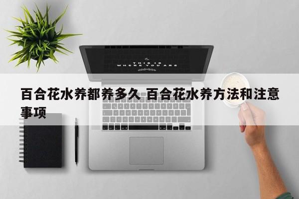 百合花水养都养多久 百合花水养方法和注意事项