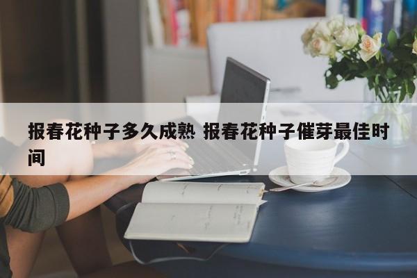 报春花种子多久成熟 报春花种子催芽最佳时间