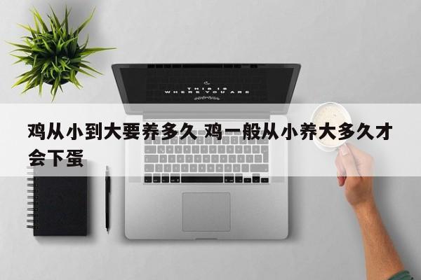 鸡从小到大要养多久 鸡一般从小养大多久才会下蛋