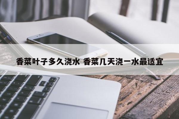 香菜叶子多久浇水 香菜几天浇一水最适宜